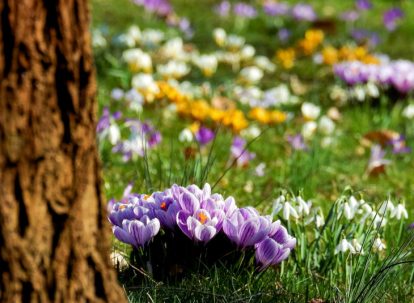 Vacances de Printemps